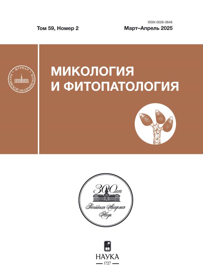 Page Header Logo