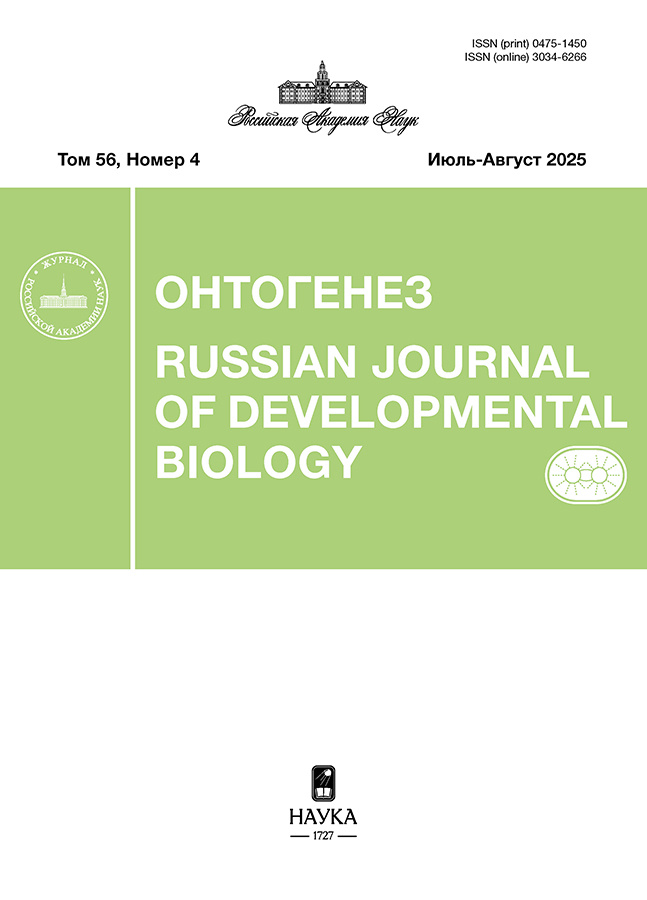 Бет Тақырыбының Логотипі